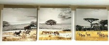 African safari canvas for sale  Louisville