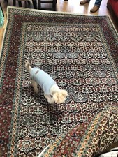 Tapis turc motif d'occasion  Saint-Gratien