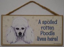 Spoiled rotten poodle for sale  Inwood