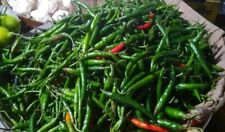 100 genuine indian for sale  NORTH SHIELDS