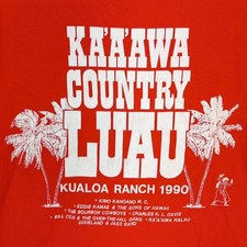 hawaii t shirt usato hawaii t shirt usato Villanova Solaro