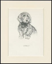 Dachshund wire haired for sale  COLEFORD