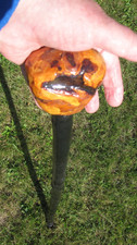 Big irish weighted for sale  BRIGHTON