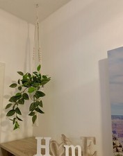 Blumenampel pflanzenampel natu gebraucht kaufen  München