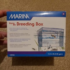 Marina hang breeding for sale  WYMONDHAM