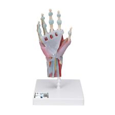 Scientific m33 hand for sale  INVERURIE