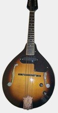 Fender electric acustic for sale  Deland