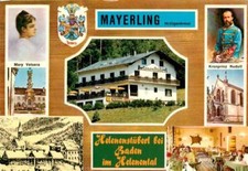 vetsera gebraucht kaufen vetsera gebraucht kaufen Deutschland