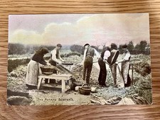 Potato sorters vintage for sale  LONDON