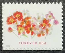 2022 Scott #5681 - Forever - TULIPAS - Estado perfeito, sem marca de charneira comprar usado  Enviando para Brazil