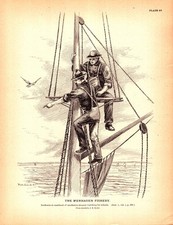 Lookouts masthead menhaden for sale  Navarre