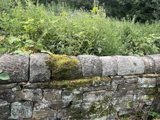 Coping stones half for sale  BELPER