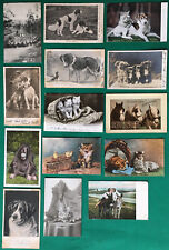Cartoline cani gatti usato  Italia