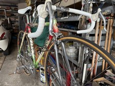Olmo competition usato  Tortona