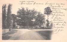 Loupe gros chene d'occasion  France