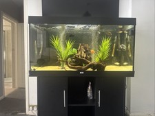Juwel rio 300 for sale  BISHOP'S STORTFORD
