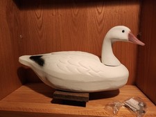 Rare never rigged for sale  Braham