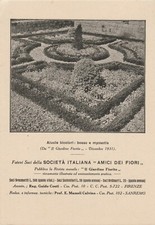 Societa amici dei usato  Roma
