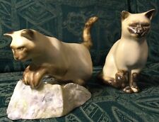 Beautiful moorside siamese for sale  NAIRN