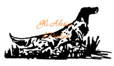 Adesivo setter inglese usato  Spoleto