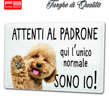 maltipoo usato  Cirie