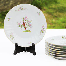 Ensemble assiettes plates d'occasion  Cerisy-la-Salle