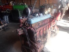 1982 detroit diesel for sale  Carbondale