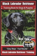 Black labrador retriever for sale  Mishawaka