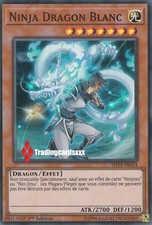 Ninja dragon blanc d'occasion  Argenteuil