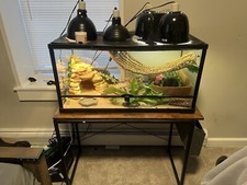 Bearded dragon enclosure for sale  Rockaway
