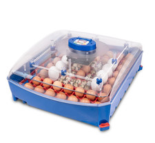 Borotto lumia incubateur d'occasion  Expédié en France