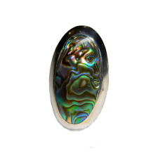 Paua shell abalone for sale  NEWTON ABBOT