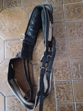 longiergurt leder gebraucht kaufen longiergurt leder gebraucht kaufen Rotenburg a. d. Fulda