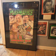 Plasmatics konzert poster gebraucht kaufen  Schöppenstedt