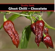 Chilli seeds pepper for sale  WEMBLEY
