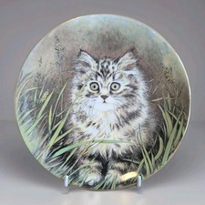 Royal worcester hamilton for sale  DUDLEY