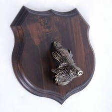 Wappenschild wildschwein troph gebraucht kaufen  Nagel