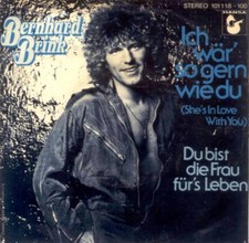 Bernhard brink wär gebraucht kaufen  Lüdinghausen