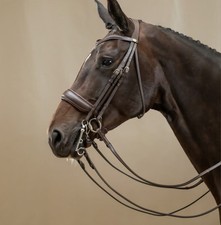 Horse bridle for sale  Marlborough