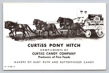 wagon hitch pony for sale wagon hitch pony for sale Mansfield