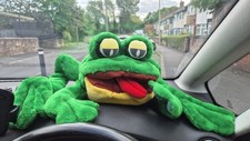 Nanco frog 1996 for sale  LIVERPOOL