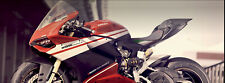 Ducati panigale 899 usato  Italia