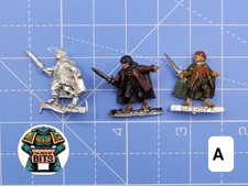 Warhammer lotr fellowship for sale  WINSFORD