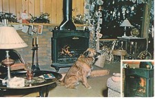 Franklin stove portland for sale  Orland Park