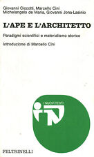Ape architetto aa.vv. usato  Cambiago