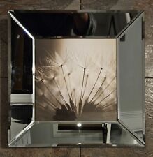 Sepia print dandelion for sale  ST. ALBANS