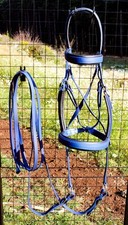 bitless bridle d'occasion  Expédié en Belgium