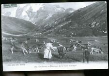 Savoie berger d'occasion  Reims