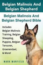 Belgian malinois belgian for sale  Nashville
