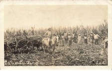 West indies trinidad d'occasion  Expédié en Belgium